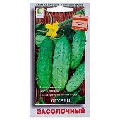 Огурец Засолочный 15шт, Поиск Огурец Засолочный 15шт, Поиск
