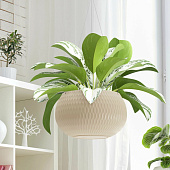 Кашпо Жемчужина 7л графитовое М8917 Кашпо Жемчужина 7л графитовое М8917