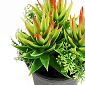  Искусственный цветок в горшке Суккуленты 6,5х11 см, микс 4453391 