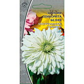 Цинния Синьорита белая ВХ Цинния Синьорита белая ВХ