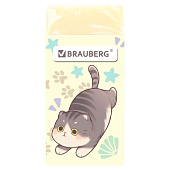 Ластик BRAUBERG "CUTE CATS", 50х24х10 мм, прямоугольный, картон.держатель, ЭКО- ПВХ, ассорти, 273227