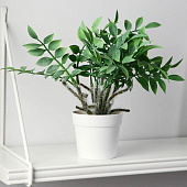 Искусственный цветок в горшке Замиокулькас 8,5х22 см 9789754 Искусственный цветок в горшке Замиокулькас 8,5х22 см 9789754
