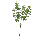  Ветка эвкалипта, 50 см, зеленый 