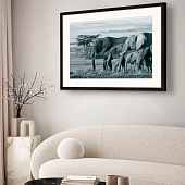 Картина ED-17 Картина ED-17