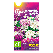  Цветы Иберис Смесь Окрасок зонтичный СА  Ароматы ночи 