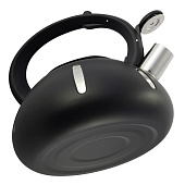 Чайник со свистком стальной 2 л 100303 Чайник со свистком стальной 2 л 100303