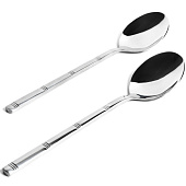 Набор ложек столовых Cristelle Olira 2 шт Cr2223 Набор ложек столовых Cristelle Olira 2 шт Cr2223