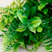 Букет искусственный «Папоротник и круглолист», 28 см 5664371 Букет искусственный «Папоротник и круглолист», 28 см 5664371