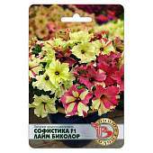 Петуния Софистика F1 Лайм биколор многоцветковая, Поиск Петуния Софистика F1 Лайм биколор многоцветковая, Поиск