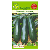 Кабачок Черный Красавец-Цукини СА Кабачок Черный Красавец-Цукини СА