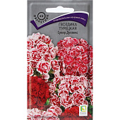 Гвоздика турецкая Супер Дуплекс СА Гвоздика турецкая Супер Дуплекс СА