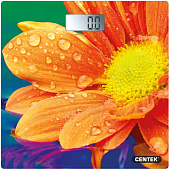  Весы напольн CT-2420 эл 180кг Гербера 