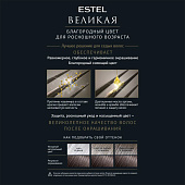 Краска для волос ESTEL ВЕЛИКАЯ 6/71 тёмно-русый коричнево-пепельный Арт.EV6/71 Краска для волос ESTEL ВЕЛИКАЯ 6/71 тёмно-русый коричнево-пепельный Арт.EV6/71