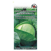 Капуста Валентина, Поиск Капуста Валентина, Поиск