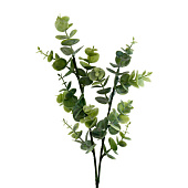 Ветка декоративная Эвкалипт Размер: 10х10х40см Цвет: зеленый Ветка декоративная Эвкалипт Размер: 10х10х40см Цвет: зеленый