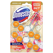 Подвесной блок для унитаза Domestos Power5 Экзот букет 2х50 Подвесной блок для унитаза Domestos Power5 Экзот букет 2х50