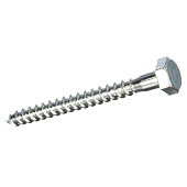 Болт сантехнический DIN 571 10х100 (белый цинк 15 шт) Болт сантехнический DIN 571 10х100 (белый цинк 15 шт)