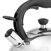 Чайник со свистком 3,8л Lara LR00-64 Чайник со свистком 3,8л Lara LR00-64