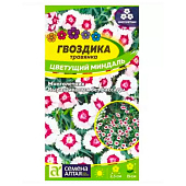Гвоздика травянка Цветущий миндаль многолетник СА Гвоздика травянка Цветущий миндаль многолетник СА