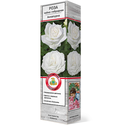  Роза Аннапурна Садовый шмель 