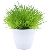  Растение искусственное в кашпо h=16 см микс арт. 10922-5711 Код 269928 