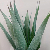 Искусственный цветок в горшке «Алоэ вера», 10?25 см Искусственный цветок в горшке «Алоэ вера», 10?25 см