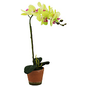  Цветок декоративный Орхидея, 12х12х48 см 