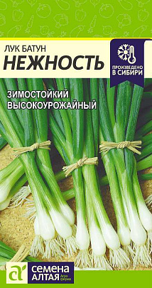 Лук Батун Нежность СА 