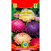 Астра Дюшес Смесь пионовидная 0,2г. Семена Алтая Астра Дюшес Смесь пионовидная 0,2г. Семена Алтая