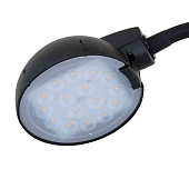 Светильник настольный LED 6,5Вт С16-035 органайзер гибкая стойка черный Веста /Трансвит
