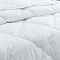  Одеяло 200х220 Бамбуковое волокно Comfort Белый 