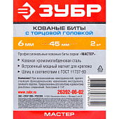 Биты с торцовой головкой, магнитные,хвостовик E 1/4", 6х45мм, 2шт/ЗУБР "МАСТЕР"