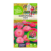  Цветы Маргаритка Мария СА, Ваш яркий балкон 