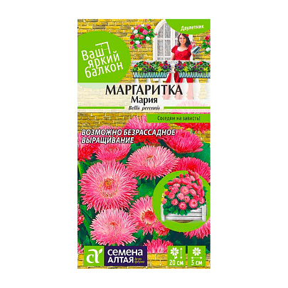  Цветы Маргаритка Мария СА, Ваш яркий балкон 