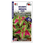 Колеус Визард Роуз ЗС Колеус Визард Роуз ЗС