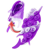  Игрушка-антистресс Акула 11.9х7.6см цвет: микс 