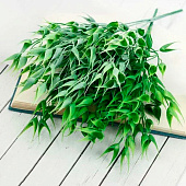 Букет искусственный «Остроконечник», 32 см, МИКС 5202891 Букет искусственный «Остроконечник», 32 см, МИКС 5202891