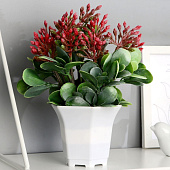  Искусственный цветок в горшке Сенполия галант 14х23 см, микс 9222725 