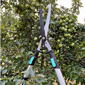  Садовые ножницы для живой изгороди телескопические ZM 4002 