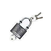  Замок навесной полимер ВС-1.50 Атлант 