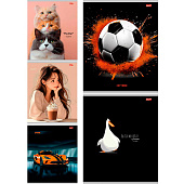 Тетрадь 48 л, Profit, клетка, микс-6083, Проф-Пресс 48-3790 Тетрадь 48 л, Profit, клетка, микс-6083, Проф-Пресс 48-3790