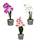  LADECOR Цветочная композиция в виде орхидеи, 10x10x38см, пластик, полистоун, 3 цвета 