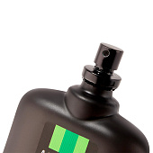 Туалетная вода Alliance L.Coast мужская, 100 мл Delta Parfum 