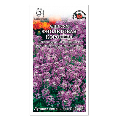  Алиссум Фиолетовая королева , ЗС 