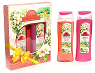  Подарочный набор PROVANCE WILD ROSE №121 женский (шампунь 250мл+гель для душа 250мл) /12 