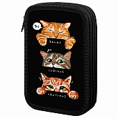 Пенал ПИФАГОР, 3 отделения, ламинированный картон, 19х11 см, Cool trio, 273486 Пенал ПИФАГОР, 3 отделения, ламинированный картон, 19х11 см, Cool trio, 273486