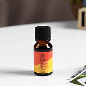 Аромамасло Богатство Аромата Сочное манго 10 мл 9800025 Аромамасло Богатство Аромата Сочное манго 10 мл 9800025