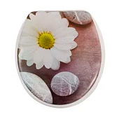 Сиденье для унитаза Релакс 105018 Delphinium Сиденье для унитаза Релакс 105018 Delphinium