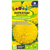 Бархатцы Сиерра Желтые СА