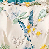  Комплект постельного белья 1,5 спальный Cleo Satin de Luxe сатин 15/828-SK/CH 